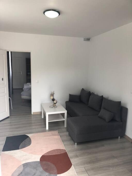 Top Appartement 10 Minutes De Disney Chessy  Dış mekan fotoğraf